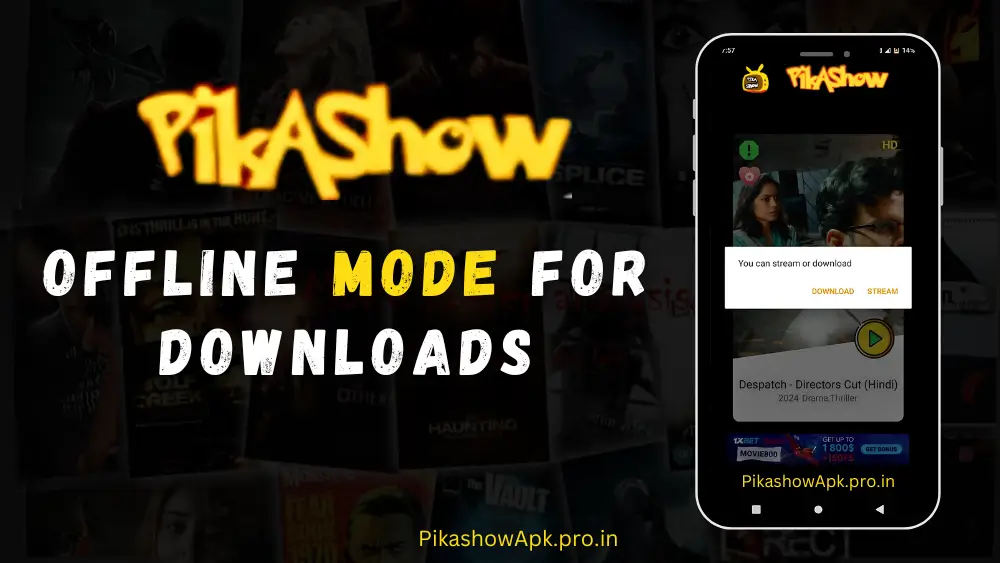 Pikashow Download option